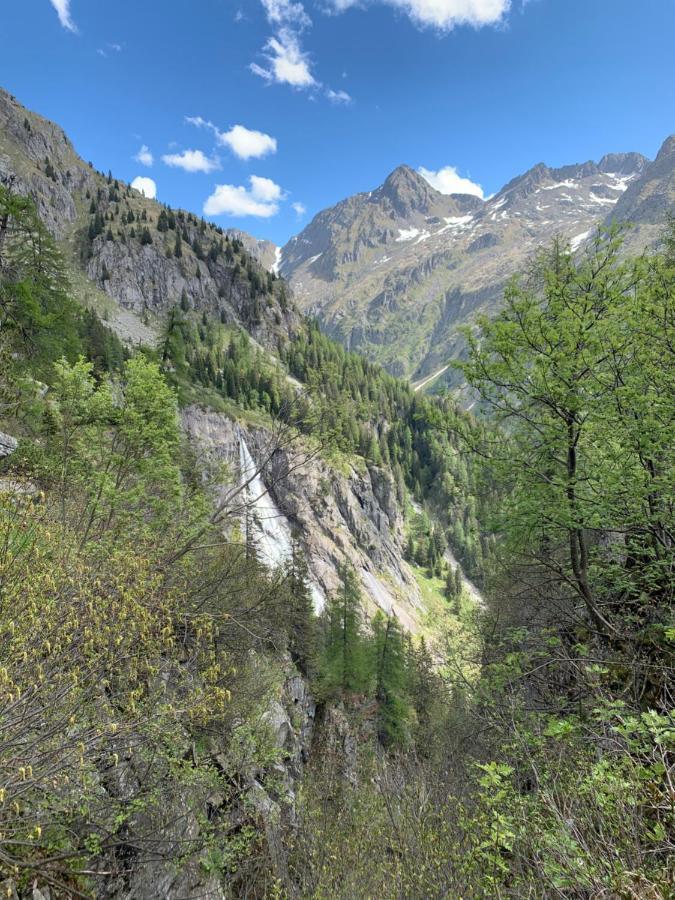 Hotel Ferrari Pinzolo Eksteriør bilde